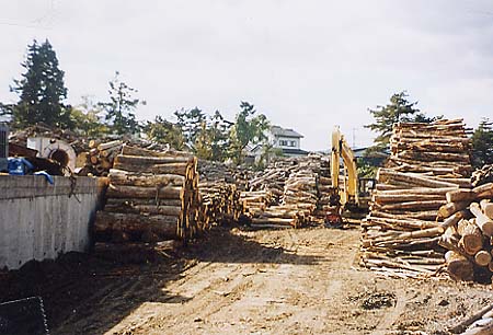 003-02.jpg (46611 oCg)